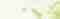 Ziegler´s Auctioneers Online
